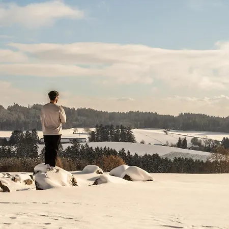 팔켄슈타이너 호텔 앤 스파 바트 레온펠덴