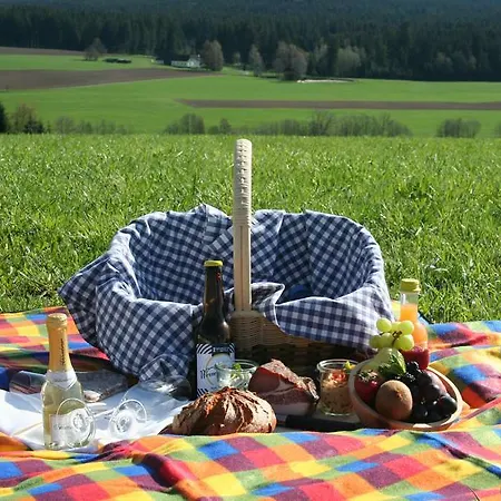 Falkensteiner Hotel Bad Leonfelden l Adults Only l 4 Star Superior Hotel 4*